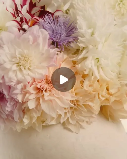 Nina Ricci